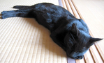 のびてるみー
